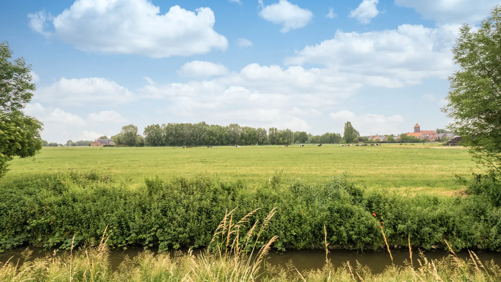Landelijk zicht Lievegem